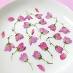 Mimaru‎✧P必読✧︎即購入禁止様 リクエスト 3点 まとめ商品