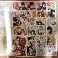 18点 春夏秋冬代行者 特典 ss リーフレット 書き下ろしss アニメイト
