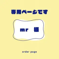 【専用ページ】mr様