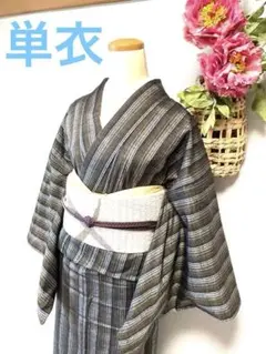 美品 単衣紬 山形ぜんまい紬 白系 着物　裄66cm 美品 単衣紬 山形ぜんまい紬 白系 着物 裄66cm - メルカリ