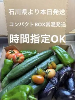 4 朝採れ 新鮮野菜 詰め合わせ きゅうり 茄子 ピーマン トマトのサムネイル
