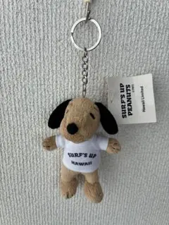 Snoopy ぬいぐるみ SURF'S UP ハワイ限定 生産終了 - メルカリ