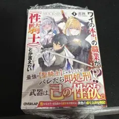 ワイの本当の職業が【性騎士】とか言えない　1