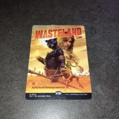 不毛の大地　non foil 1枚　英語　MTG