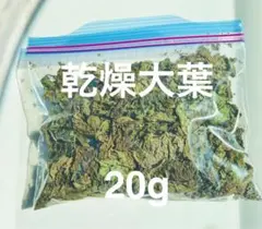 沖縄県やんばる産マジックリーフ 60g 20〜25枚入 UV殺菌灯照射済み⑥