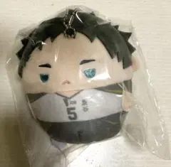 ハイキュー くじメイト ぬいくじ D賞 ふわコロりん 赤葦京治