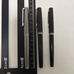 PILOT 万年筆 2本セット 14K 585 ぺン先F字 中古 ゴールドニブ - メルカリ