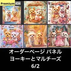 オーダーページ パネル ヨーキーとマルチーズ 6/2