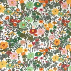 Item thumbnail for item f6e2c4c7-68a1-4d28-93e8-90700814d04d