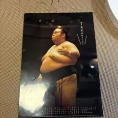 相撲クリアファイル A4