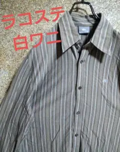 【レア・白ワニ】ラコステ　BDシャツ　ストライプ柄　ワニロゴ　Lサイズ相当