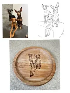 Item thumbnail for item 43714ba4-1bad-423a-adf9-7d944c231862