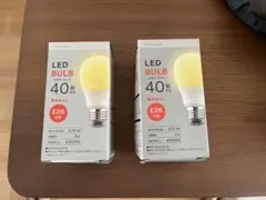 LED 60形 E2口金　2個