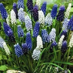 バンブー様 リクエスト 2点 まとめ商品