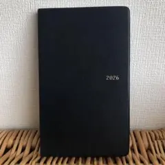 Item thumbnail for item 808e7b5f-0d05-4f02-a34e-9c93a63d03c4