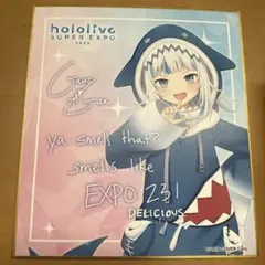 ホロライブ　EXPO 2023 ランダムメッセージ色紙 ID+EN がうる・ぐら