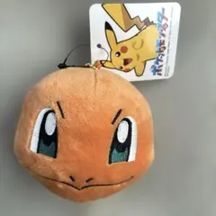 ポケモン ヒトカゲ ぬいぐるみ キーホルダー ポーチ