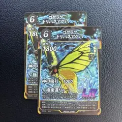 ゴクラクトリバネアゲハ　LR 2枚　蟲神器　虫神器のサムネイル