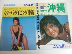 山下達郎／石田ゆり子／踊ろよ、フィッシュ レコード 仕切板 80年代当時物全日空 山下達郎／石田ゆり子／踊ろよ、フィッシュ レコード 仕切板 80