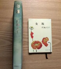 泉鏡花 無憂樹 明治39年 日高有倫堂 - メルカリ