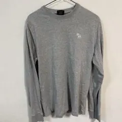 Abercrombie & Fitch アバクロ　ロンT グレーのサムネイル