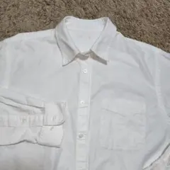 メンズワイシャツ長袖 ボタンダウンl