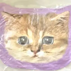 【新品】PAUL & JOE 猫 クッション 未開封のサムネイル