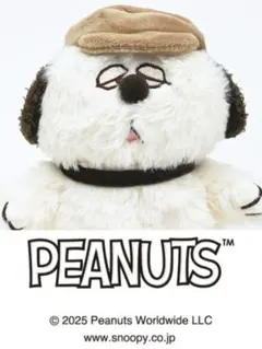 2025年最新】PEANUTS ぬいぐるみ本体の人気アイテム - メルカリ