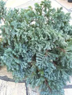 Tuayu✺プロフ必読様 リクエスト 3点 まとめ商品