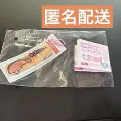 サンリオキャラクターズ ばんそうこうキーホルダー2 KIRIMIちゃん