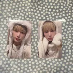 &TEAM HARUA ハルア 雪明かりトレカ