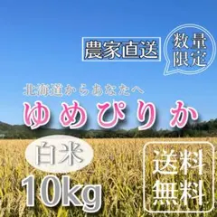 【R7年産】【数量限定】ゆめぴりか 10kg白米のサムネイル