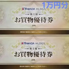 ヤマダデンキ ヤマダ電機 お買物優待券 1万円分 10000円 割引券 クーポン