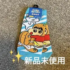 愛媛限定 クレヨンしんちゃん 靴下 ソックス 13-18センチ キッズ 子ども