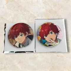 テーマスカウト&SHUFFLE 缶バッジ 天城一彩様 2個セット