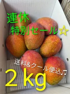 沖縄　宮古島産　完熟マンゴー8kg 家庭用（訳あり） 沖縄 宮古島産 完熟マンゴー8kg 家庭用（訳あり） - メルカリ