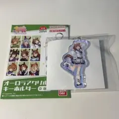 ウマ娘 プリティーダービー オーロラアクリルキーホルダー D ユキノビジン