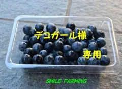 和歌山県産　野菜詰め合わせ　＆　ブルーベリーセット　㊱