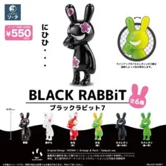 BLACK RABBiT 7