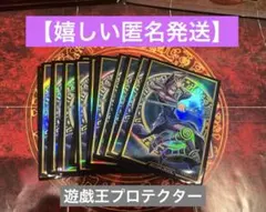 遊戯王OCG ラッシュデュエル　プロテクター　24枚