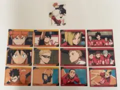 ハイキュー!! カードセット13枚 烏野 音駒
