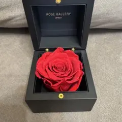 2025年最新】ローズギャラリーの人気アイテム - メルカリ