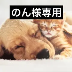 のん様専用