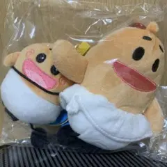 Harumi Sato様 リクエスト 2点 まとめ商品