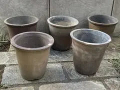 【素焼き植木鉢】5個セット　ガーデニング　鉢　プランタ　園芸　観葉植物　多肉　蘭