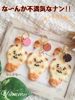 ♡な〜んか不満気なナン!!♡ こぐま フェイクフード 樹脂粘土 チャーム