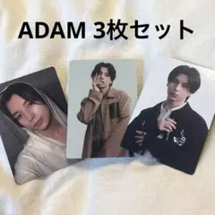 Moonchaser トレカ ADAM アダム