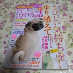 レディースコミック　ほんとうに泣ける話　11月号