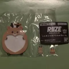 Item thumbnail for item 326faf54-301e-420f-a658-ddd7193b0747