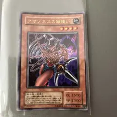 旧枠/2期】アマゾネスの鎖使い｜WJ-02 ウルトラレア - メルカリ